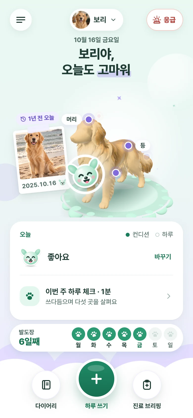 보리의 털색(금색)으로 물든 3D 조각상